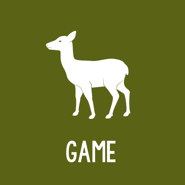 Game
